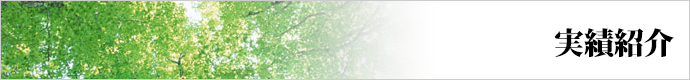 実績紹介